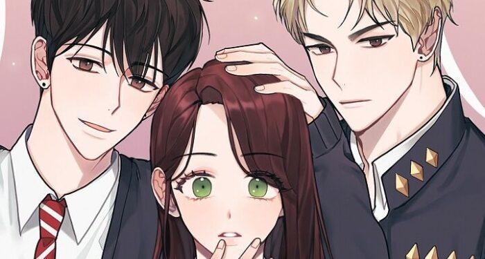 Quality and Accessibility